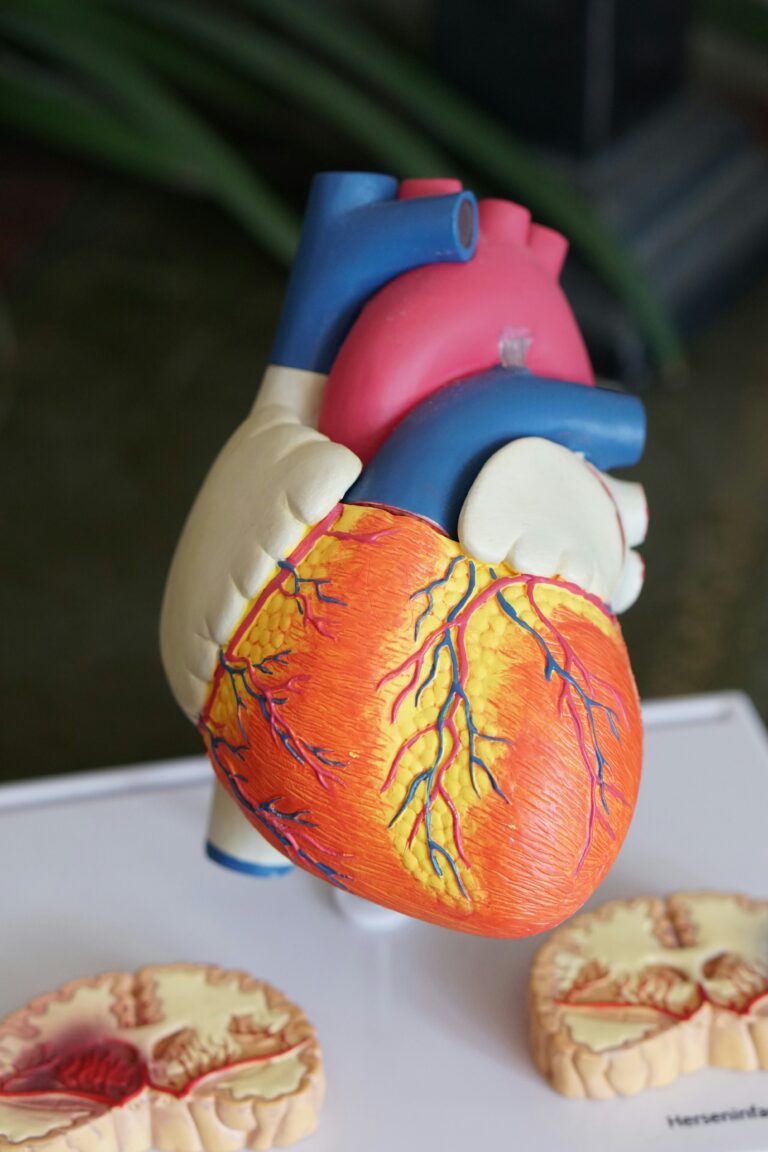 Key Stage 3 Biology